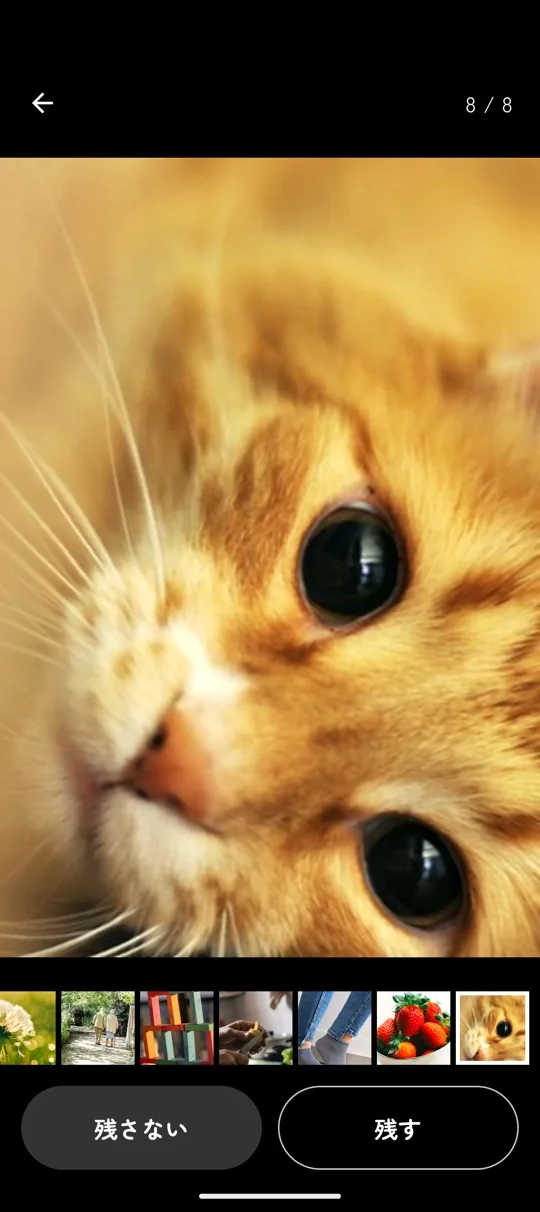 猫の写真を全画面で表示し、下に残す・残さないのボタンと写真の帯が並んでいる